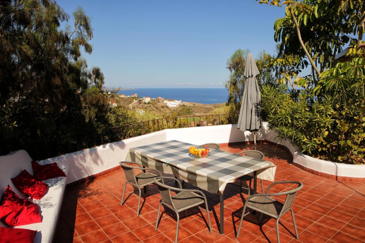 Parasol - Finca Tabaiba By Tor Icod De Los Vinos Eksteriør billede