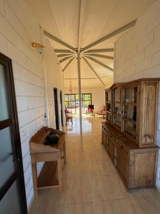 Parasol - Finca Tabaiba By Tor Icod De Los Vinos Eksteriør billede