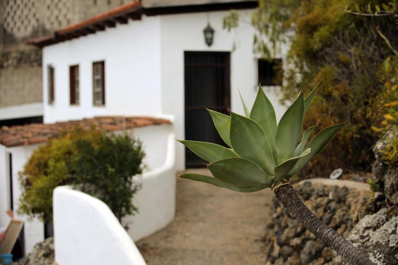 Parasol - Finca Tabaiba By Tor Icod De Los Vinos Eksteriør billede